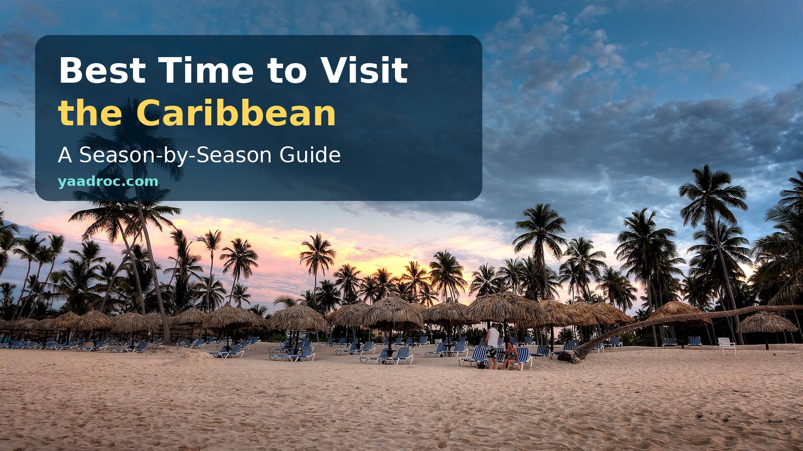 Palm-lined Caribbean beach at sunset in Bavaro, Dominican Republic